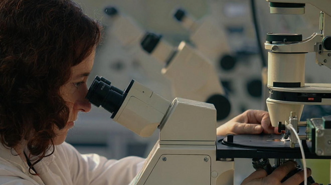 Actor portrayal, scientist examining cells under microscope