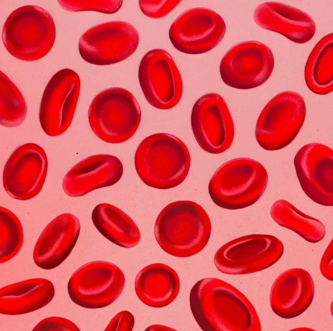 Graphic illustration of red blood cells