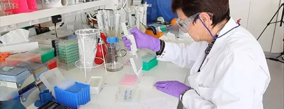 A scientist with a pipette A scientist with a pipette